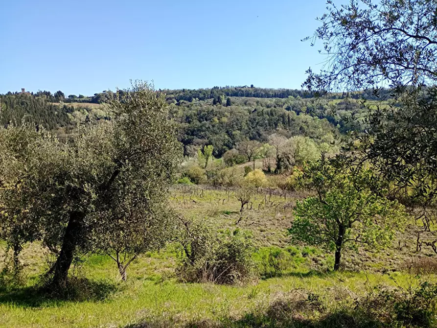 Immagine 27 di Rustico / casale in vendita  in Via Trecento a Montespertoli