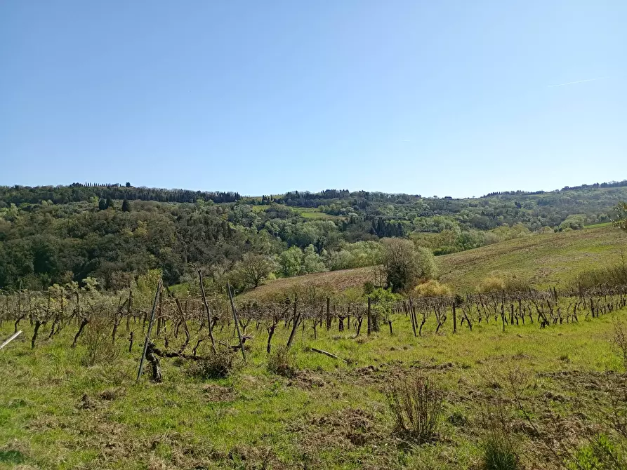 Immagine 28 di Rustico / casale in vendita  in Via Trecento a Montespertoli