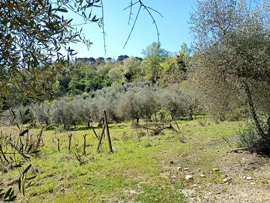 Immagine 29 di Rustico / casale in vendita  in Via Trecento a Montespertoli