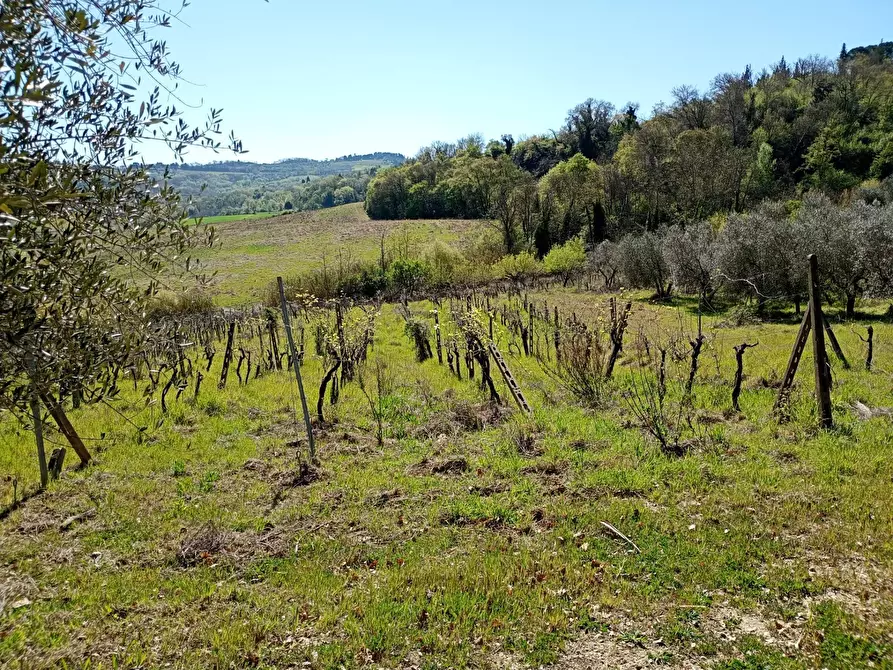 Immagine 30 di Rustico / casale in vendita  in Via Trecento a Montespertoli