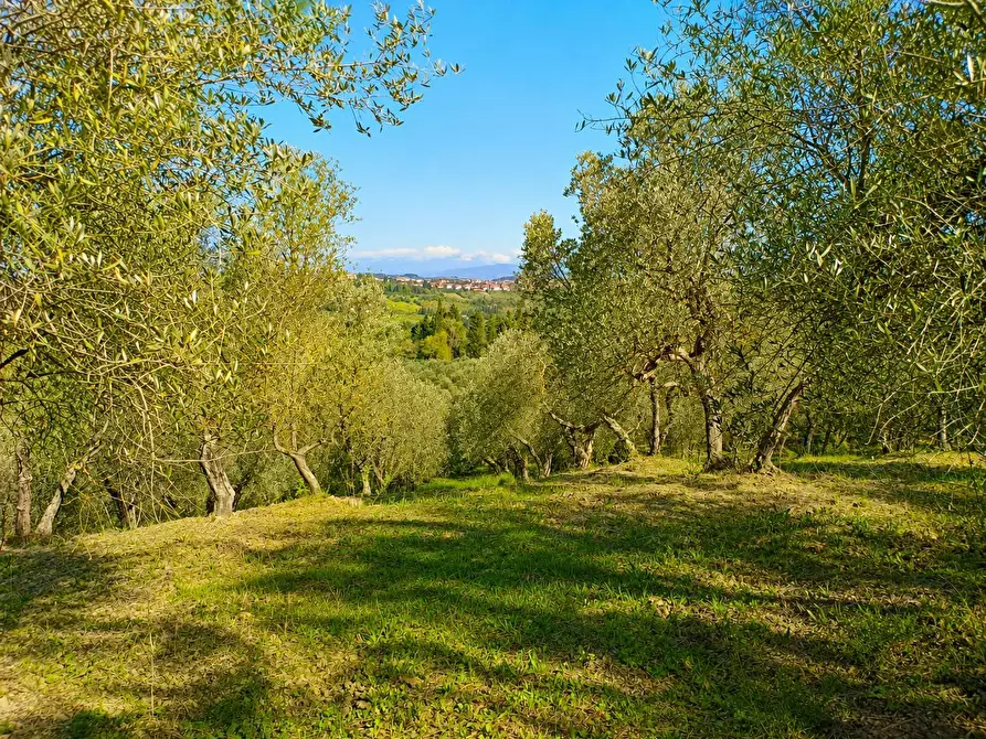 Immagine 3 di Rustico / casale in vendita  in Via Trecento a Montespertoli