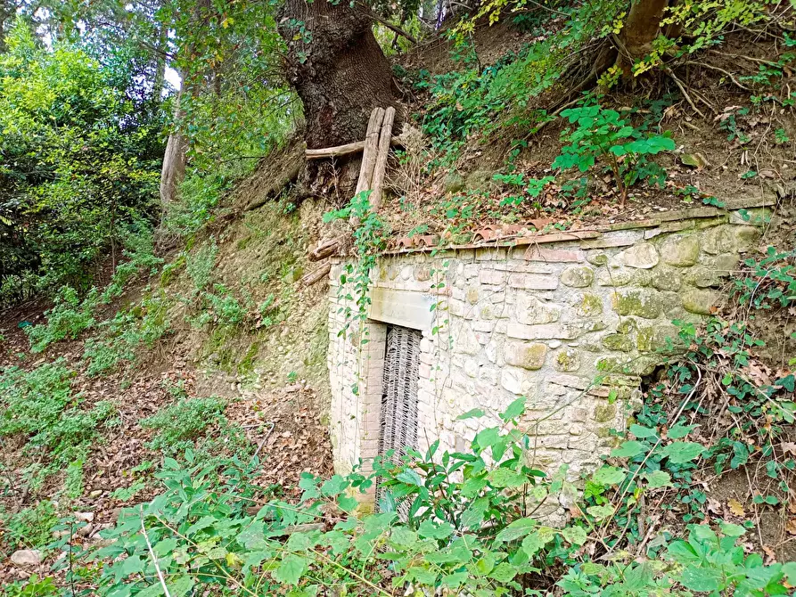 Immagine 25 di Appartamento in vendita  in Via Bignola 60 a Montespertoli