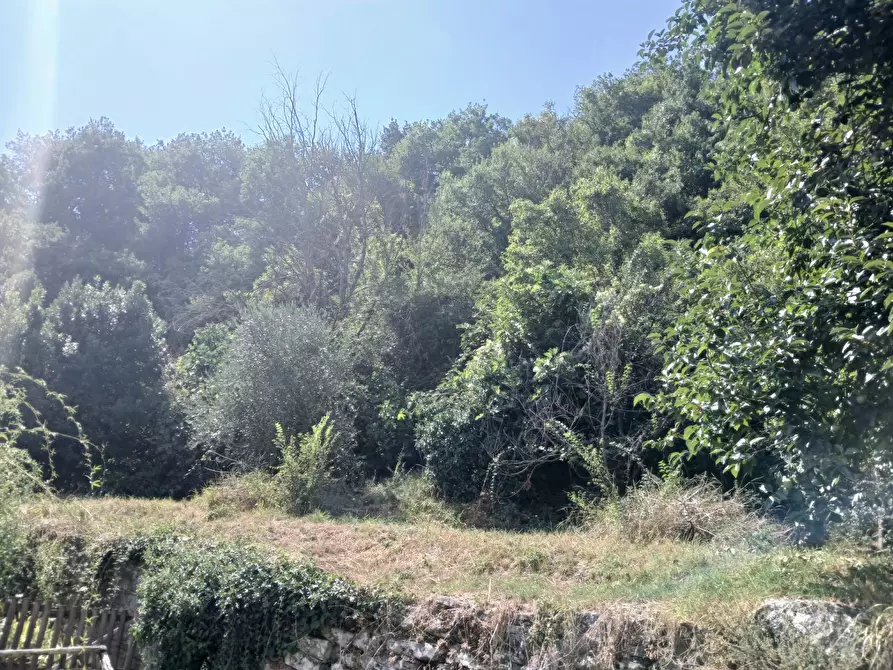 Immagine 7 di Appartamento in vendita  in Via Piana 121 a Pontassieve