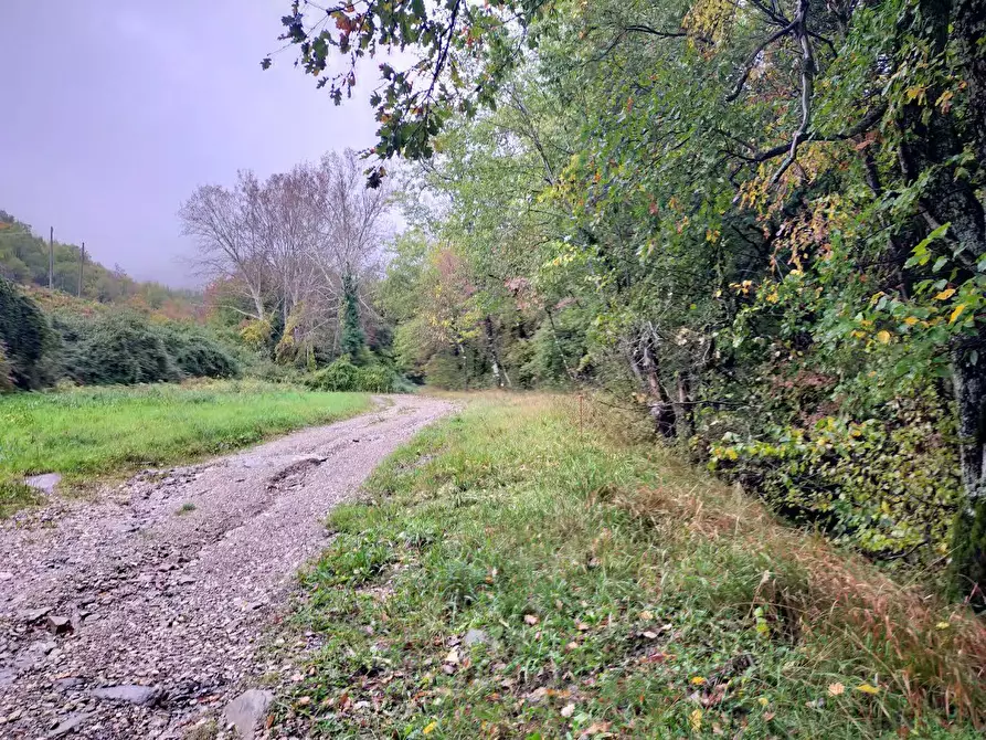 Immagine 3 di Rustico / casale in vendita  in Via del Giogo 4 a Scarperia E San Piero