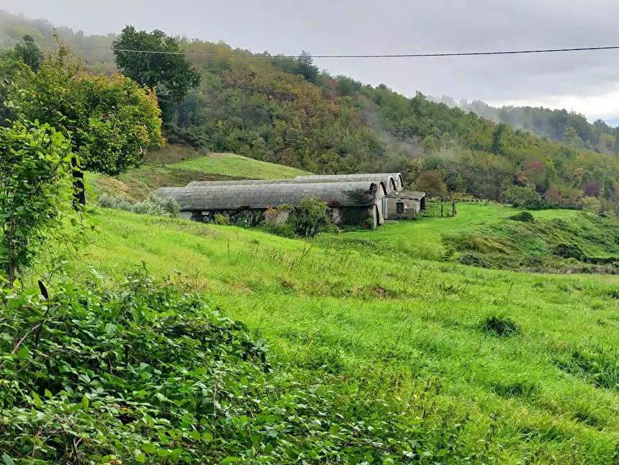 Immagine 6 di Rustico / casale in vendita  in Via del Giogo 4 a Scarperia E San Piero