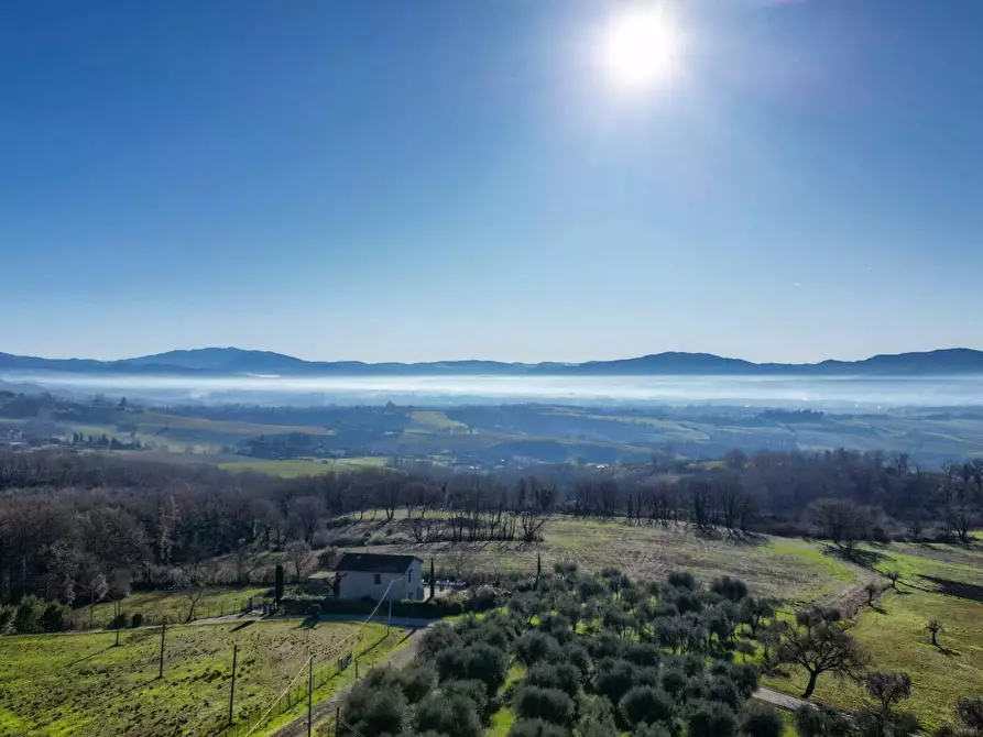 Immagine 3 di Villa in vendita  in Via di Spazzavento 26 a Scarperia E San Piero