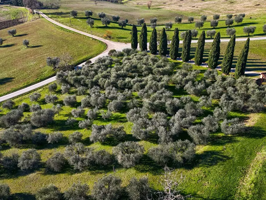 Immagine 20 di Villa in vendita  in Via di Spazzavento 26 a Scarperia E San Piero