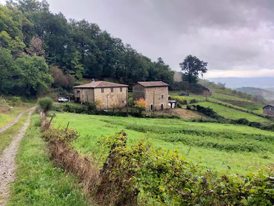 Immagine 2 di Rustico / casale in vendita  in Via del Giogo 4 a Scarperia E San Piero