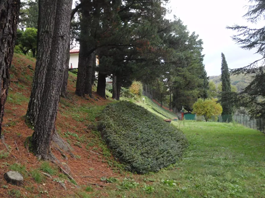 Immagine 12 di Villa in vendita  in Frazione Dicomano Campagna 11 a Dicomano