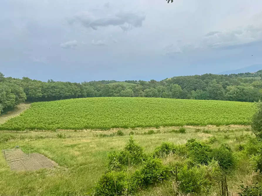 Immagine 3 di Rustico / casale in vendita  in via di Monteloro a Pontassieve