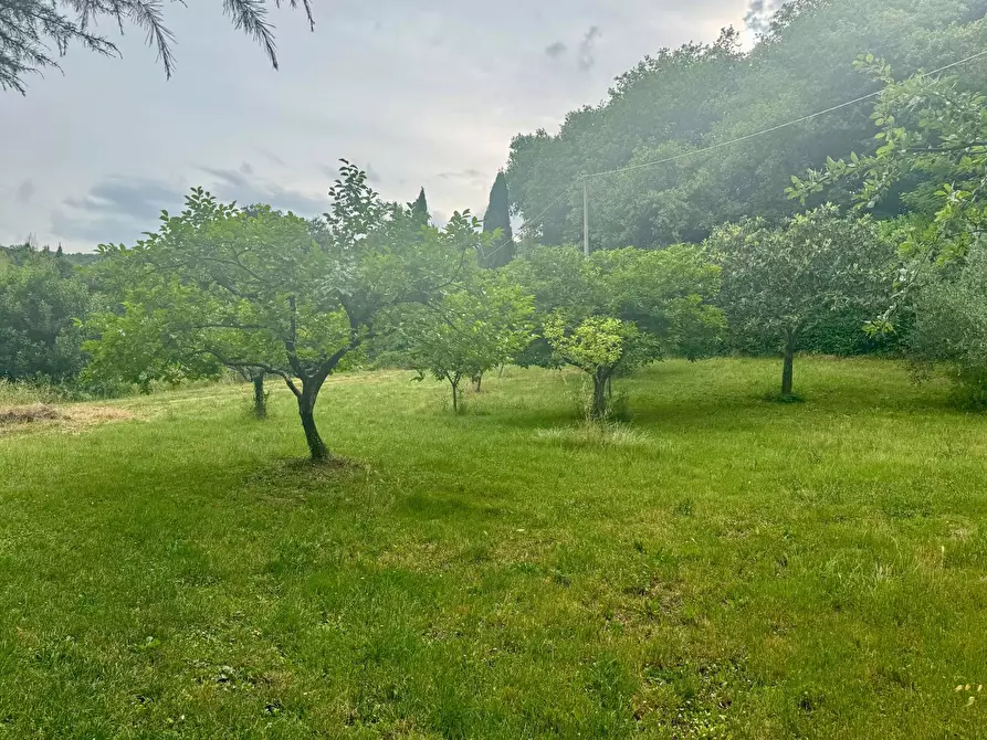 Immagine 23 di Rustico / casale in vendita  in via di Monteloro a Pontassieve
