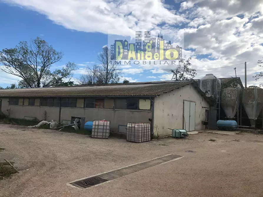 Immagine 5 di Casa indipendente in vendita  in Strada Provinciale 18 a Offida