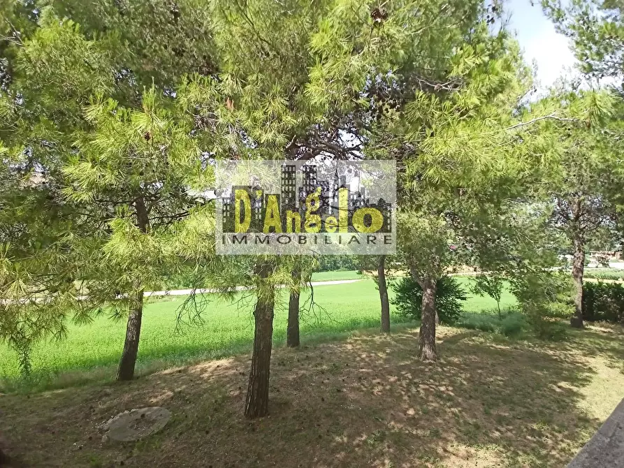 Immagine 28 di Rustico / casale in vendita  in contrada tesino a Offida