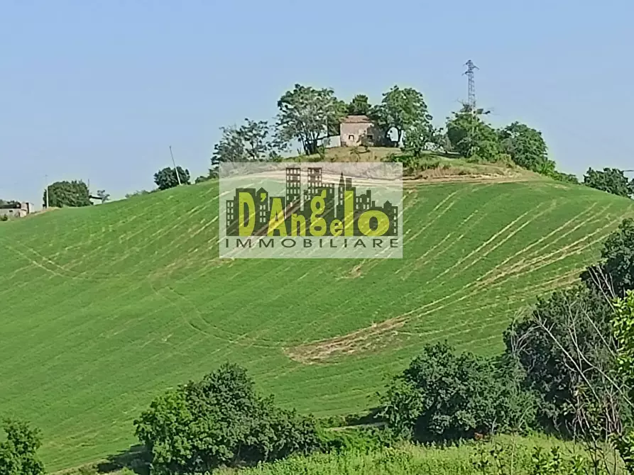 Immagine 4 di Casa indipendente in vendita  in Via Corneto a Carassai