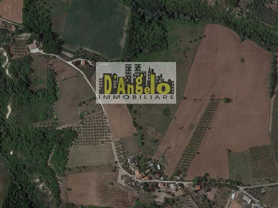 Immagine 1 di Azienda agricola in vendita  in Contrada Tesino a Offida