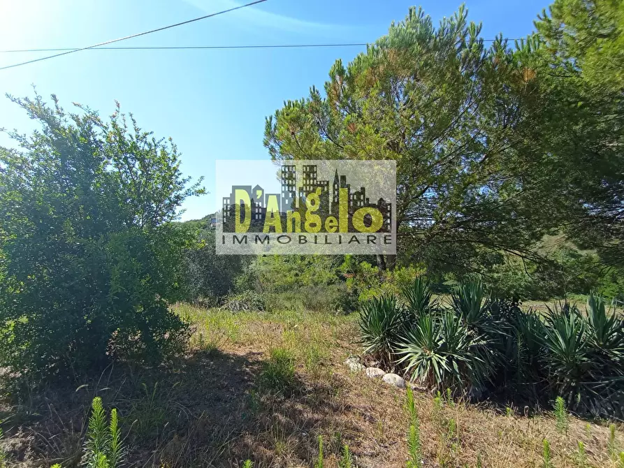 Immagine 27 di Rustico / casale in vendita  in Contrada Pagliare 2 a Monsampolo Del Tronto