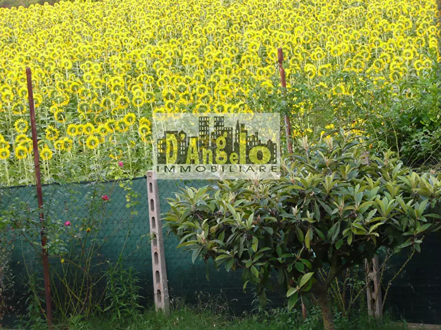 Immagine 13 di Casa indipendente in vendita  a Castignano