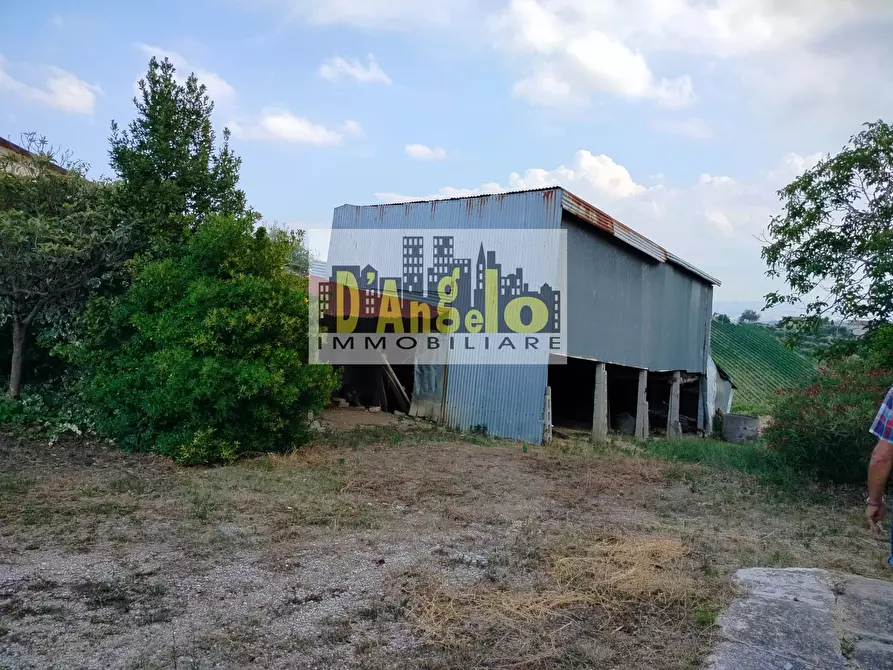 Immagine 21 di Casa indipendente in vendita  in Via San Lazzaro a Offida