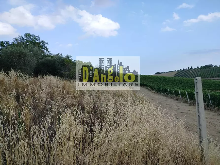 Immagine 24 di Casa indipendente in vendita  in Via San Lazzaro a Offida