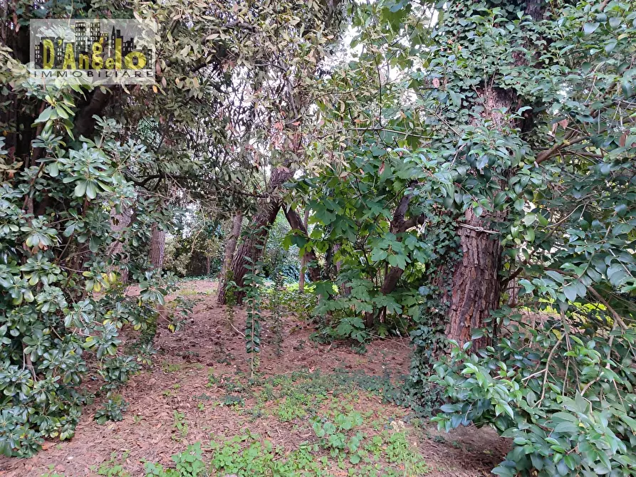 Immagine 43 di Villa in vendita  in Viale Mazzini a Offida