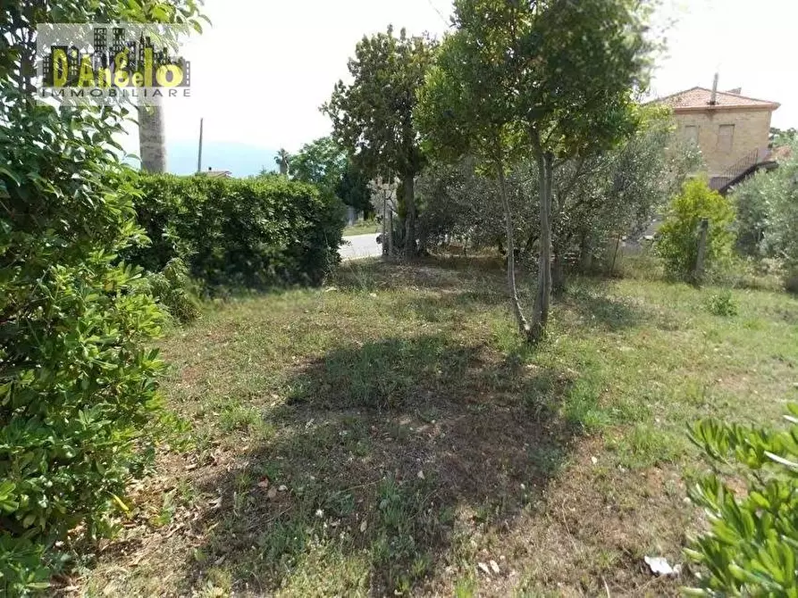 Immagine 7 di Casa indipendente in vendita  in Contrada San Lazzaro a Offida