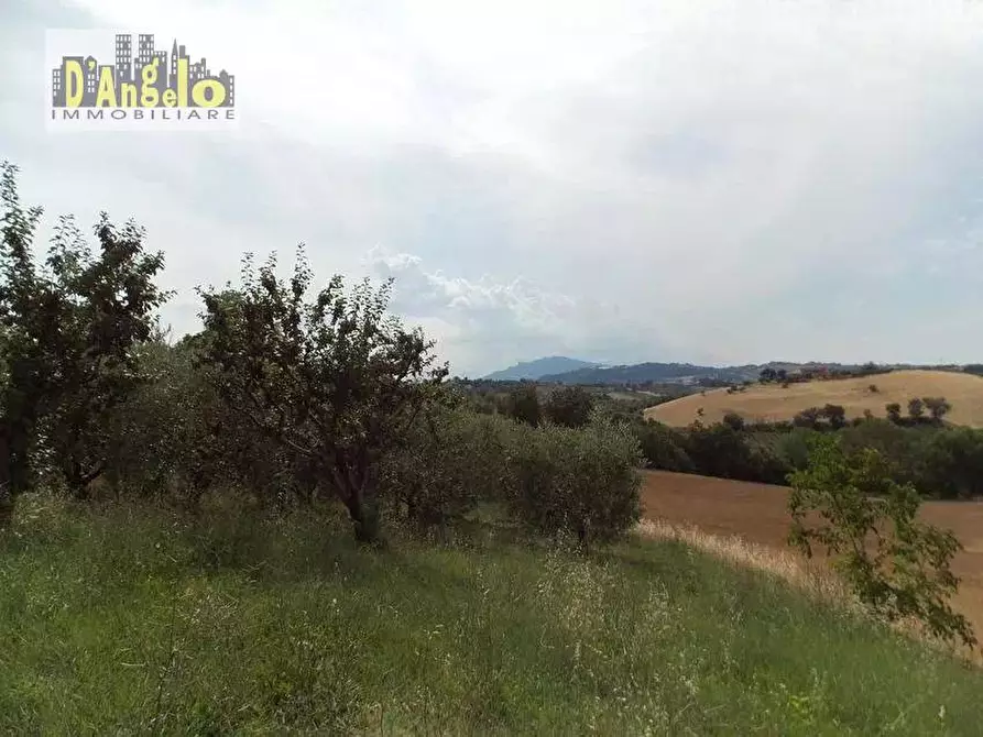 Immagine 9 di Casa indipendente in vendita  in Contrada San Lazzaro a Offida