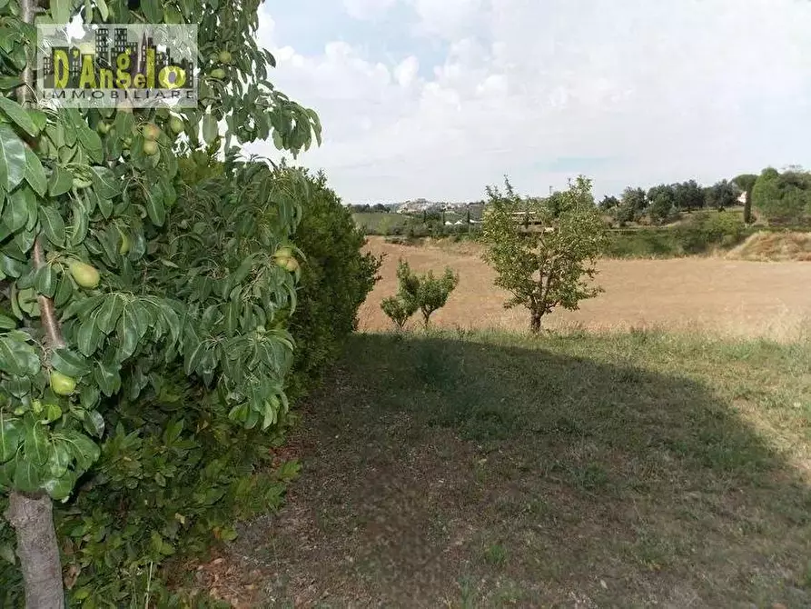 Immagine 11 di Casa indipendente in vendita  in Contrada San Lazzaro a Offida