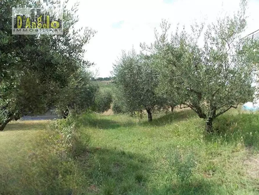 Immagine 12 di Casa indipendente in vendita  in Contrada San Lazzaro a Offida