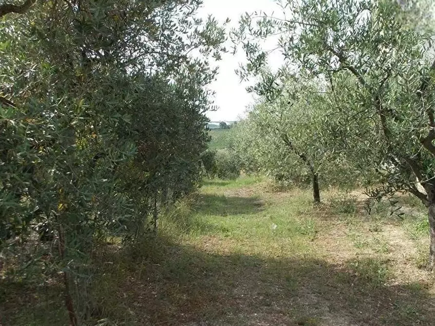 Immagine 14 di Casa indipendente in vendita  in Contrada San Lazzaro a Offida