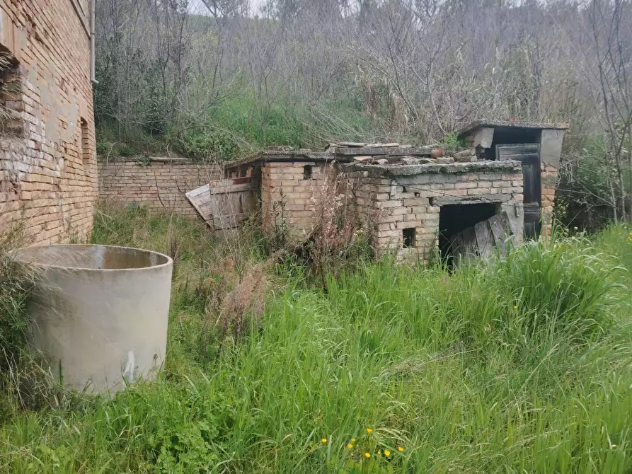 Immagine 12 di Rustico / casale in vendita  in Contrada San Lazzaro 29 a Offida