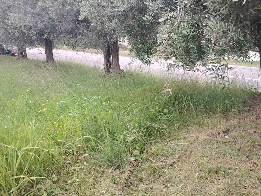 Immagine 3 di Rustico / casale in vendita  in Contrada San Lazzaro 29 a Offida