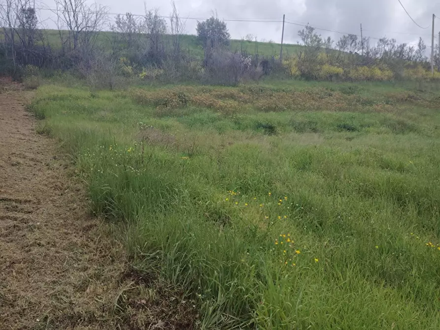 Immagine 4 di Rustico / casale in vendita  in Contrada San Lazzaro 29 a Offida