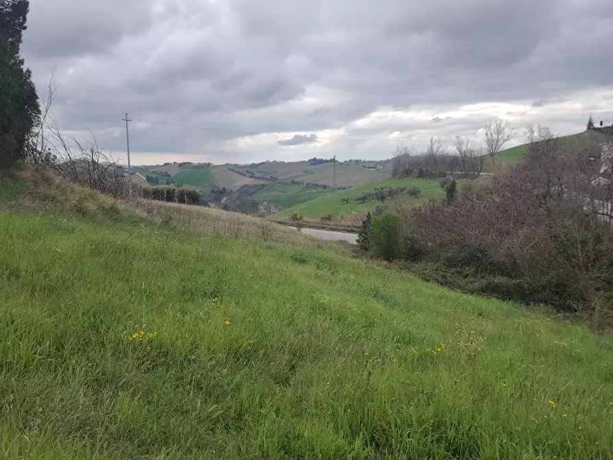 Immagine 5 di Rustico / casale in vendita  in Contrada San Lazzaro 29 a Offida
