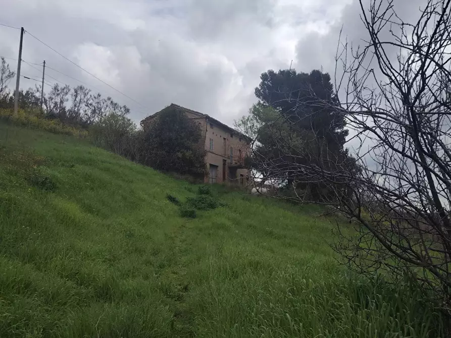 Immagine 6 di Rustico / casale in vendita  in Contrada San Lazzaro 29 a Offida