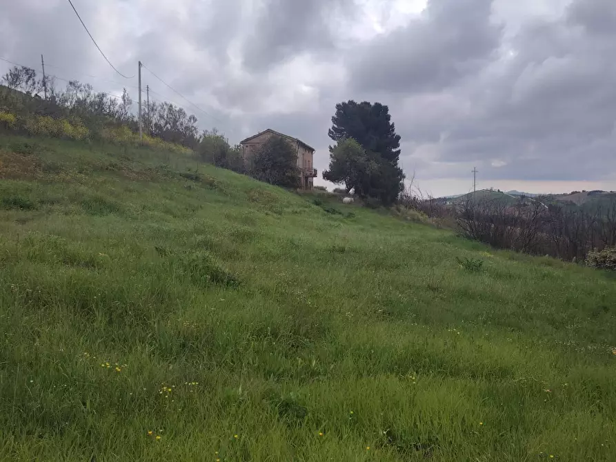 Immagine 7 di Rustico / casale in vendita  in Contrada San Lazzaro 29 a Offida