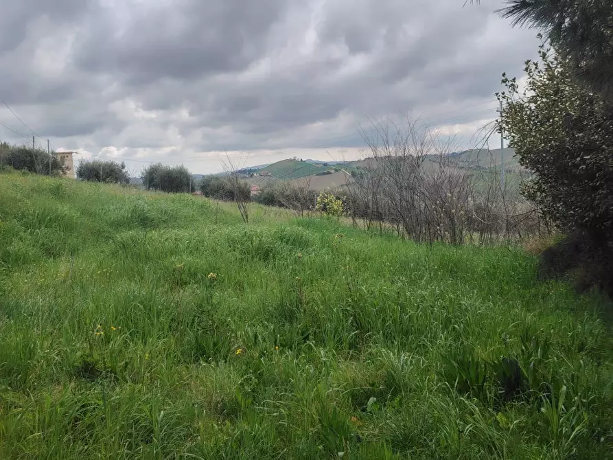 Immagine 8 di Rustico / casale in vendita  in Contrada San Lazzaro 29 a Offida