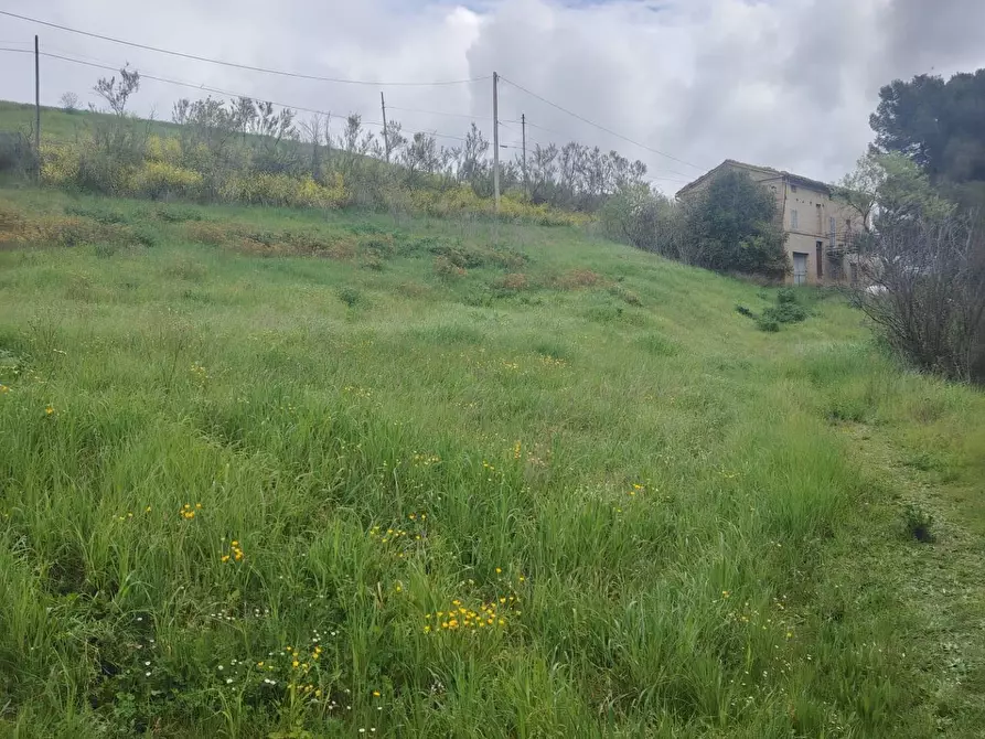 Immagine 9 di Rustico / casale in vendita  in Contrada San Lazzaro 29 a Offida