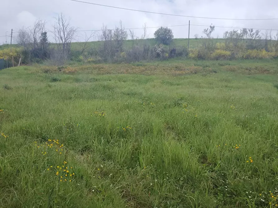 Immagine 11 di Rustico / casale in vendita  in Contrada San Lazzaro 29 a Offida