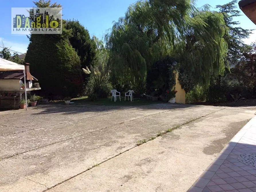 Immagine 35 di Casa semindipendente in vendita  in contrada magnola 6 a Ripatransone