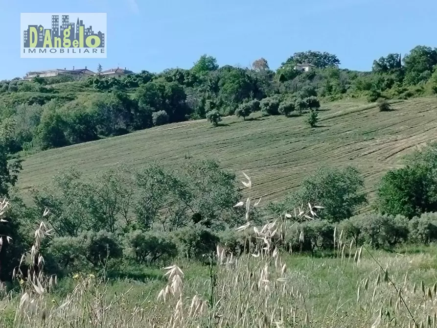 Immagine 4 di Rustico / casale in vendita  in Strada Provinciale 73 a Castignano