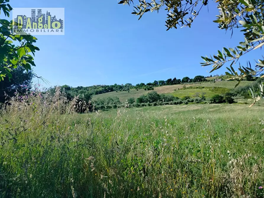 Immagine 9 di Rustico / casale in vendita  in Strada Provinciale 73 a Castignano