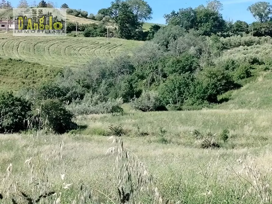 Immagine 10 di Rustico / casale in vendita  in Strada Provinciale 73 a Castignano