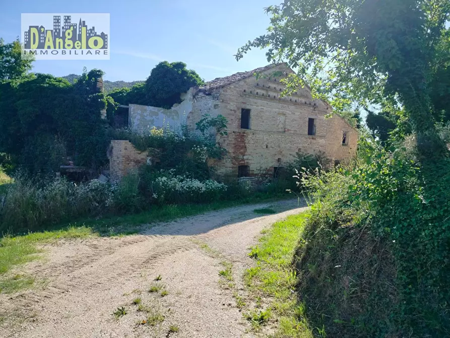 Immagine 3 di Rustico / casale in vendita  in Strada Provinciale 73 a Castignano