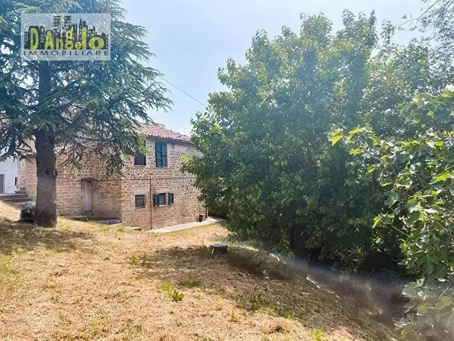 Immagine 3 di Casa indipendente in vendita  in Contrada Santa Lucia 12 a Force