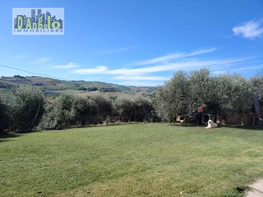 Immagine 8 di Rustico / casale in vendita  in Contrada Tesino 171 a Offida