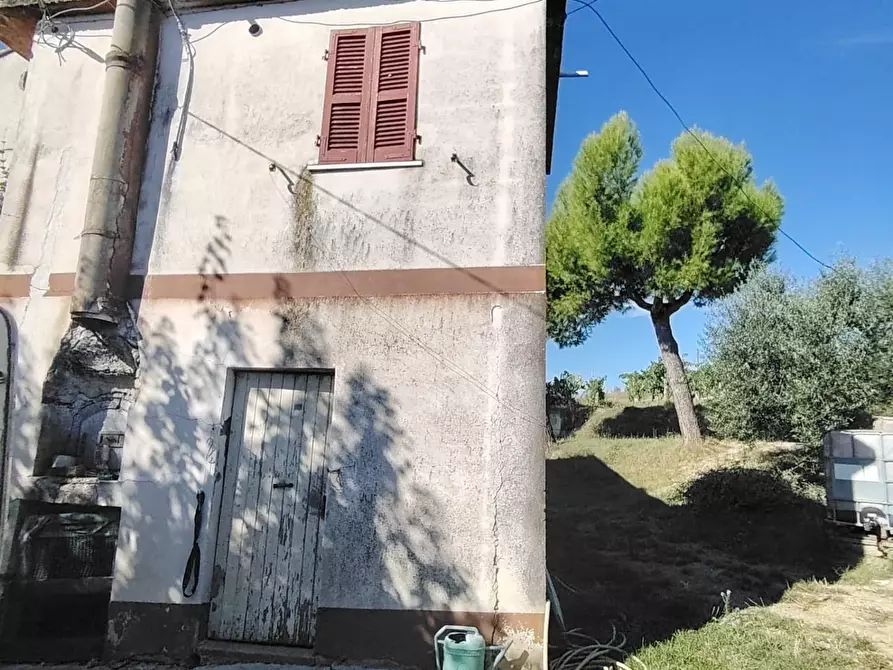 Immagine 3 di Rustico / casale in vendita  in Contrada Tesino 171 a Offida