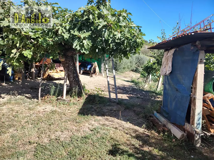 Immagine 9 di Rustico / casale in vendita  in Contrada Tesino 171 a Offida