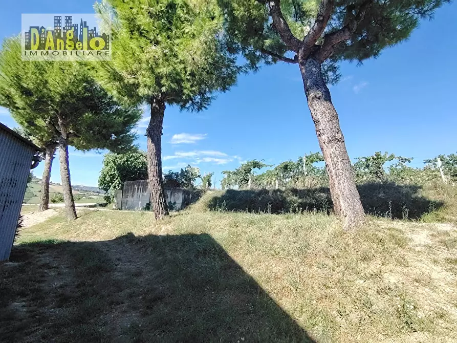 Immagine 10 di Rustico / casale in vendita  in Contrada Tesino 171 a Offida