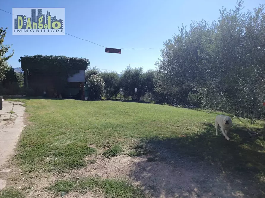 Immagine 11 di Rustico / casale in vendita  in Contrada Tesino 171 a Offida