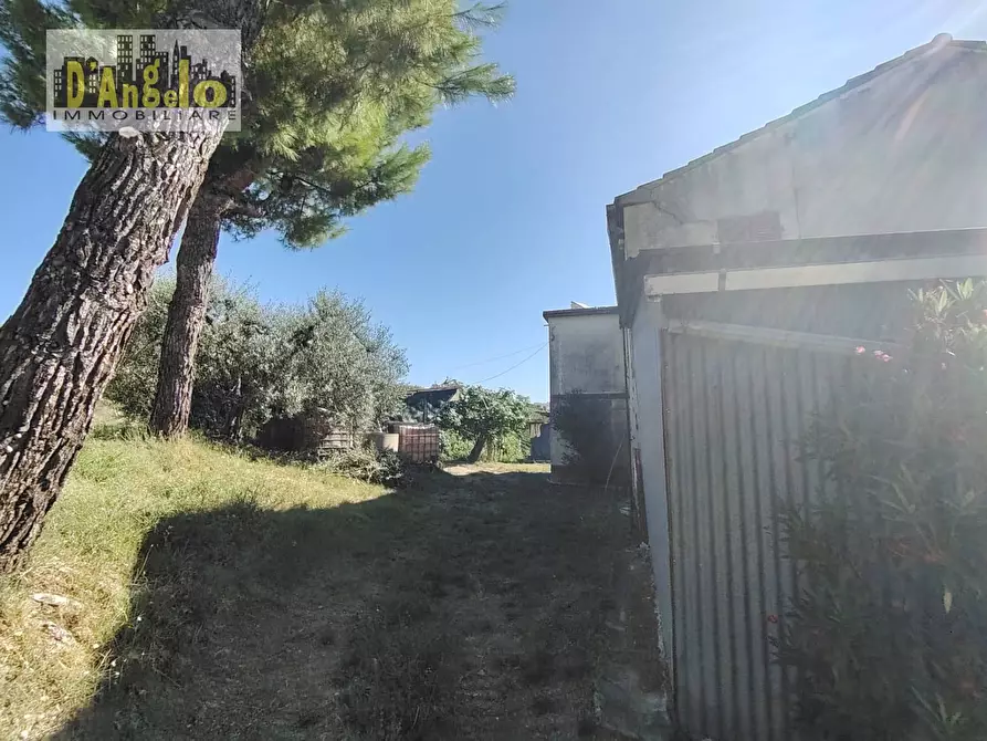 Immagine 7 di Rustico / casale in vendita  in Contrada Tesino 171 a Offida